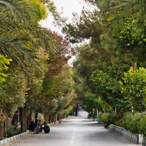 جاده